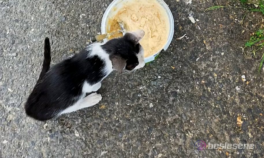 görsel