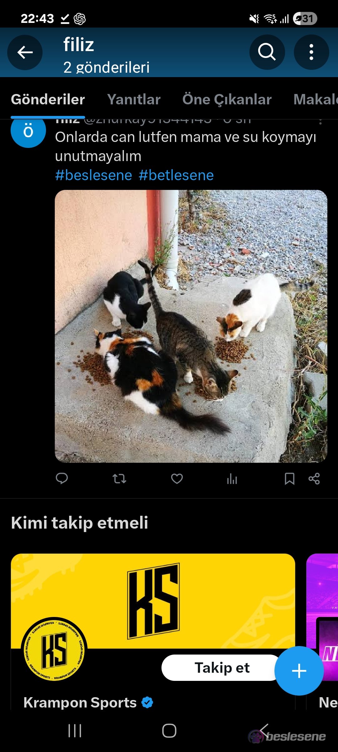 görsel