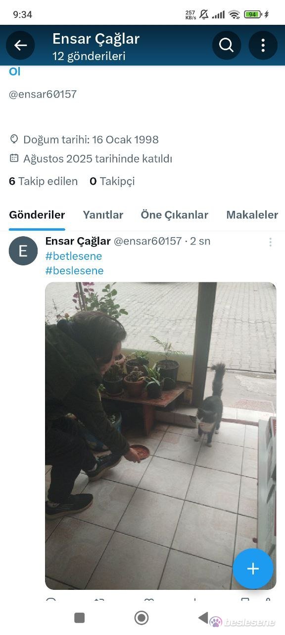 story