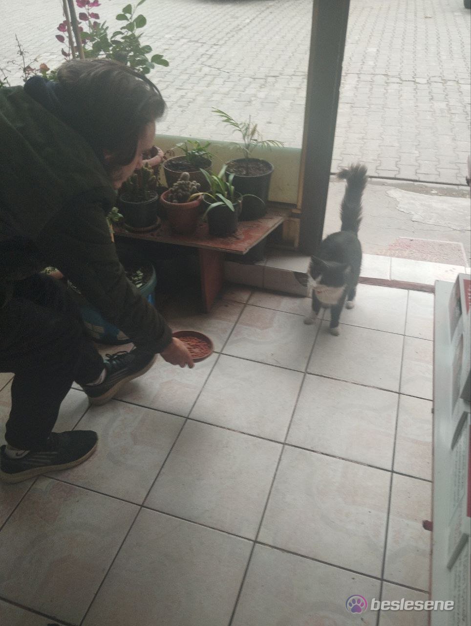 görsel